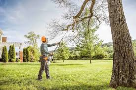 Best Lawn Watering Services  in Nd Point, WI