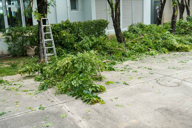 Best Tree Health Inspection  in Nd Point, WI